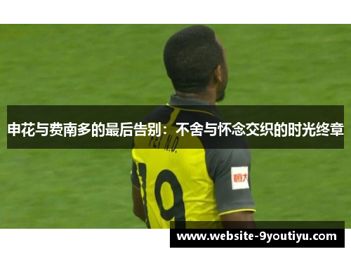 申花与费南多的最后告别：不舍与怀念交织的时光终章