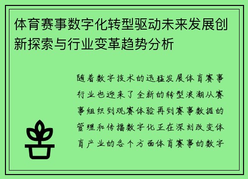 体育赛事数字化转型驱动未来发展创新探索与行业变革趋势分析