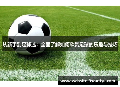 从新手到足球迷：全面了解如何欣赏足球的乐趣与技巧